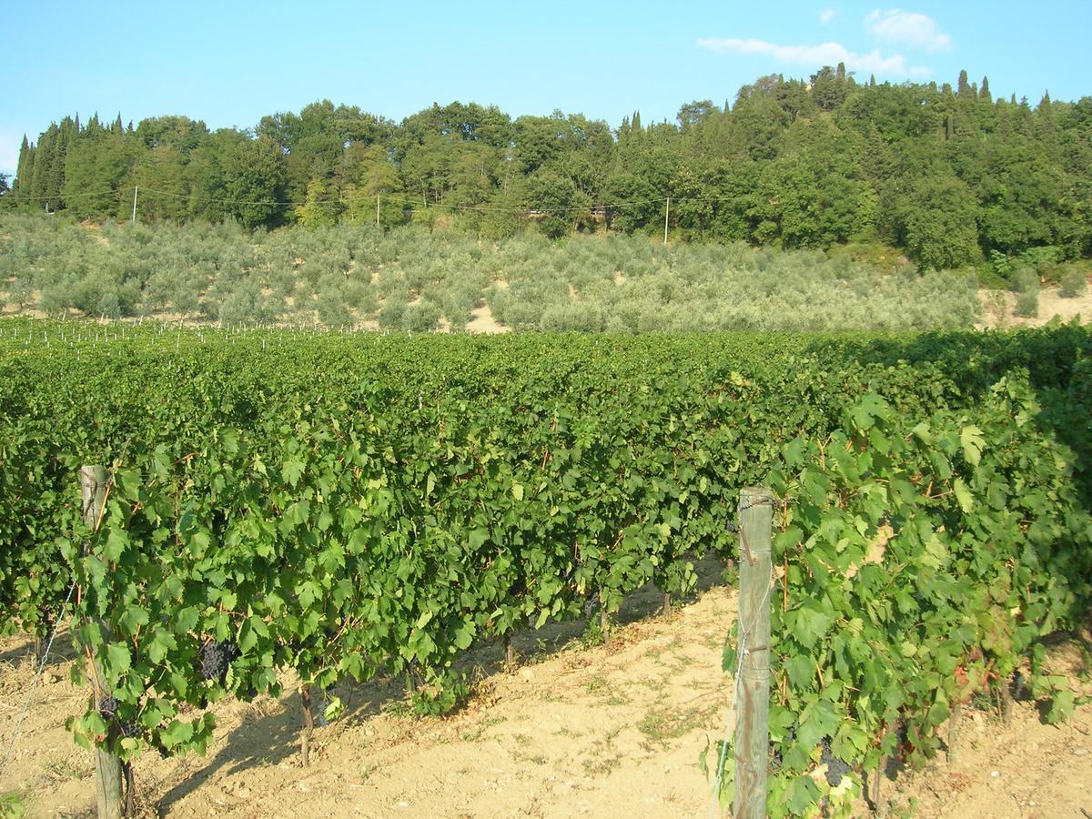 Podere Ghiole Montespertoli Exterior photo
